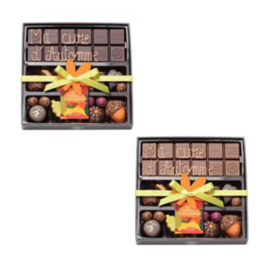 Boite chocolats d'Automne assortis et tablette de chocolat au lait ou noir