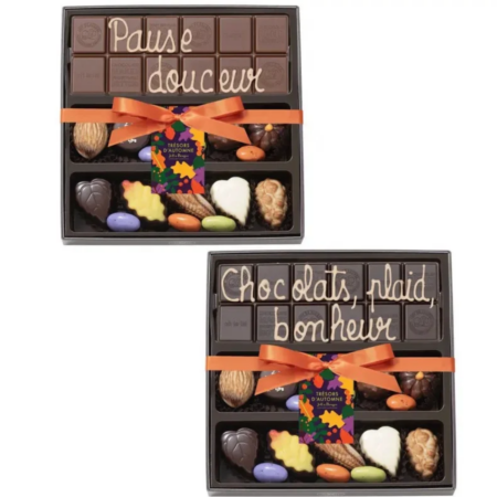 Boite chocolats d'automne assortis et tablette de chocolat au lait ou noir