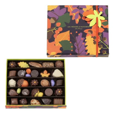 Grande boite chocolats d'automne assortis - 334 g